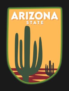 Local Expertise: The Benefits of Hiring an Arizona App Development Company