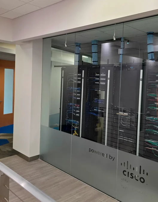 250+ Happy Customers