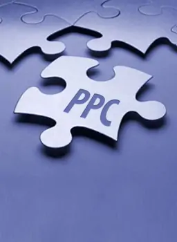 PayPerClick Strategies for 2011