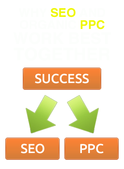 Why SEO and Organic PPC Work Best Together