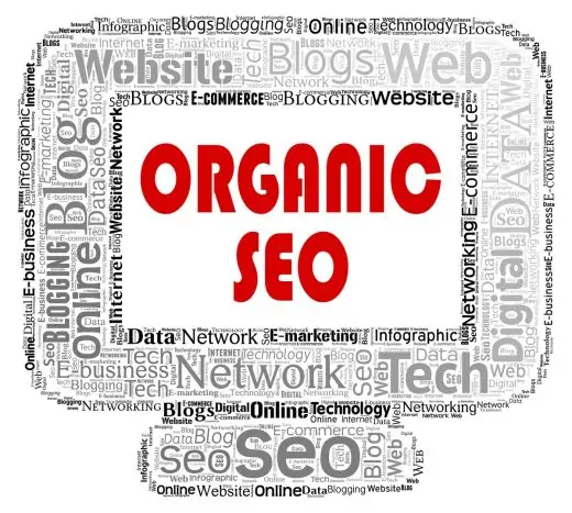 Increase Organic Traffic with a Blog